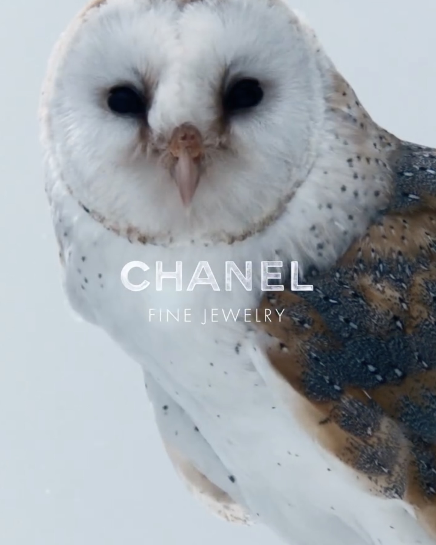 𝔅 I Chanel I Frosted Logotype-5