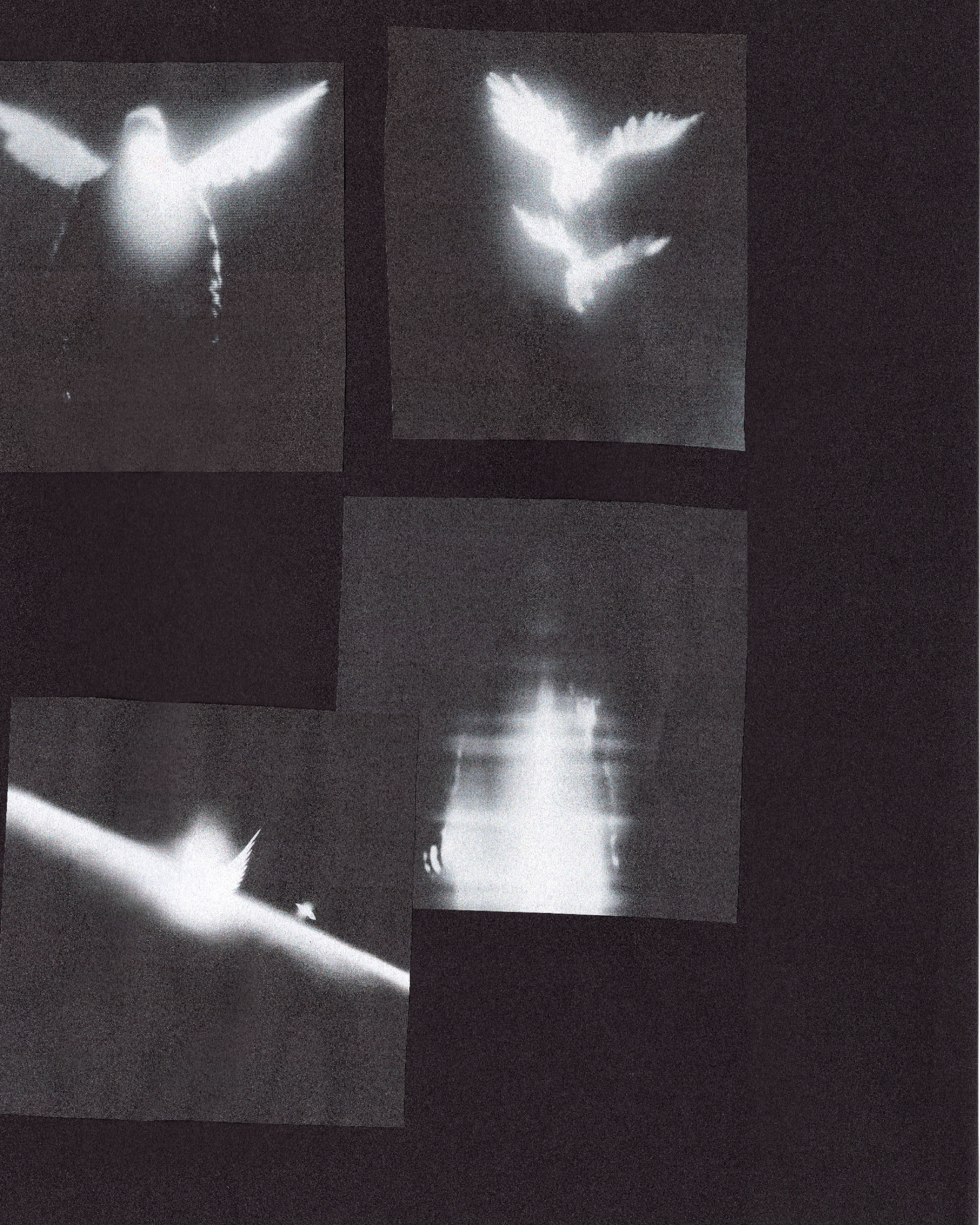 𝔅 I Strick I All Time High-2